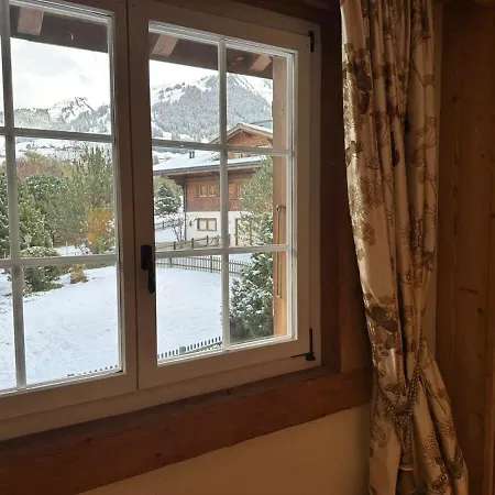 Luxury Flat Close To Park In Gstaad
