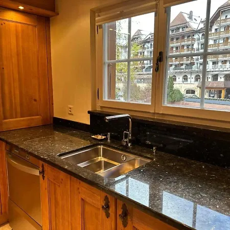 Luxury Flat Close To Park In *